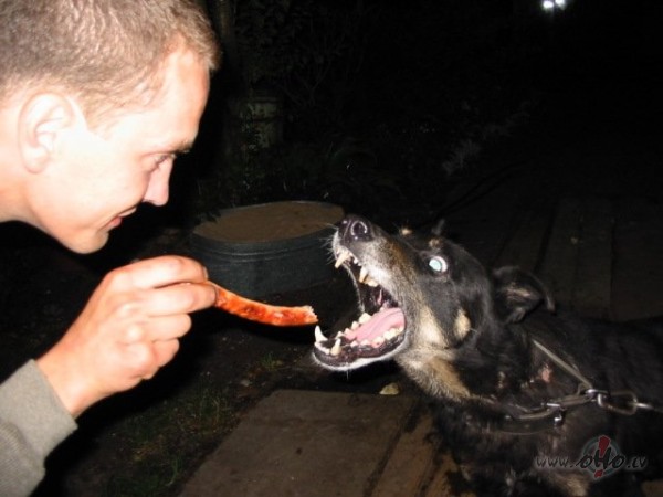 Manejie iepriek��jie sun��i tomer neb�tu lab�ki...ne?/