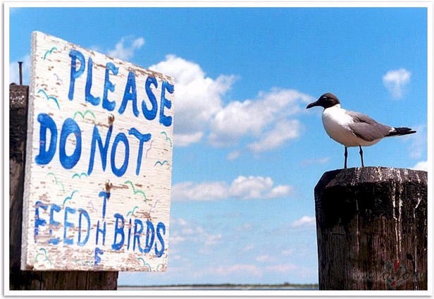 Katrs izklaidejas, k� m�k.
tikko sastapu cilveku, kas bus jau reizes ...