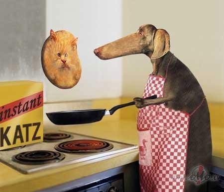 Atkal diena pagaja gaidot to ko nevar sagaidit tik ilgi :(