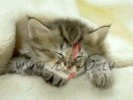 Es �odien skumstu :-((((((((((((((((((
...Grib�tu b�t mazi�a, lai ...