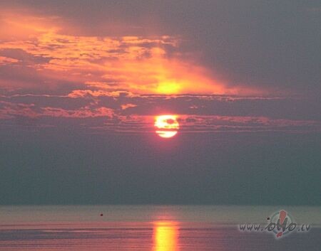 Vakar saliju zem lietus un tagat ir punki, ka man vini nepatik :)