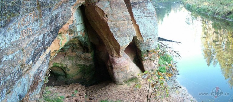 Rekur ir viens skatins no svedienas pastaigas pie brivas dabas :)