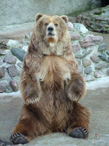 Biju es pa ilgiem laikiem aizgaju lidz Zoo Darzinam :) man prieks ka ...