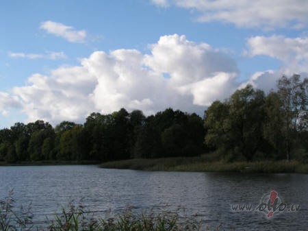 Diena bija, lai gan auksta, bet sausa un burv�ga. RUDENS!!! Biju me�� ...