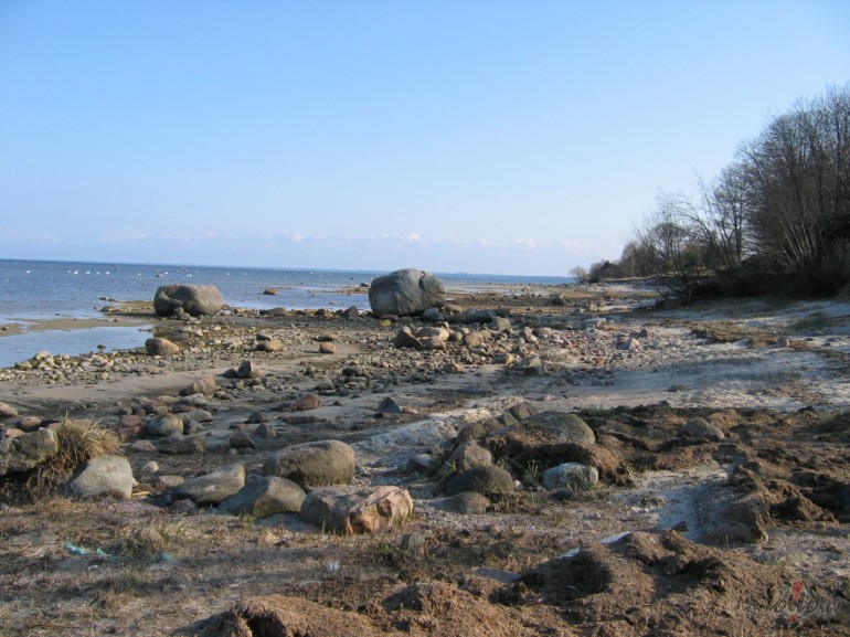 K� lai nesauc �o dienu par jaukumjauko ????
PIEKTDIENA IR KL�T ...