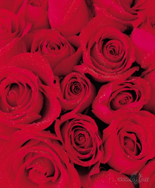 Yes I know - Love is most important/amazing/beautifull feeling - I ...