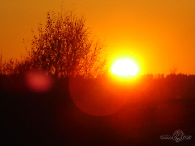 Neskumsim, ja k�dreiz dz�v� tum�i br��i p�ri sl�d, p�c ikkatra tum�a ...