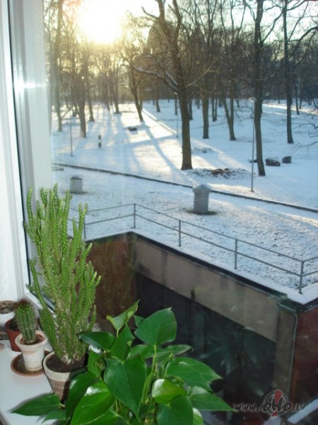 Saul�t iek�p zil� debes�.... :))),
Iekr�t saulaina dzirkstel�te ...