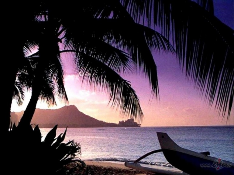 Dz�ve ir skaista - baudi to !!!