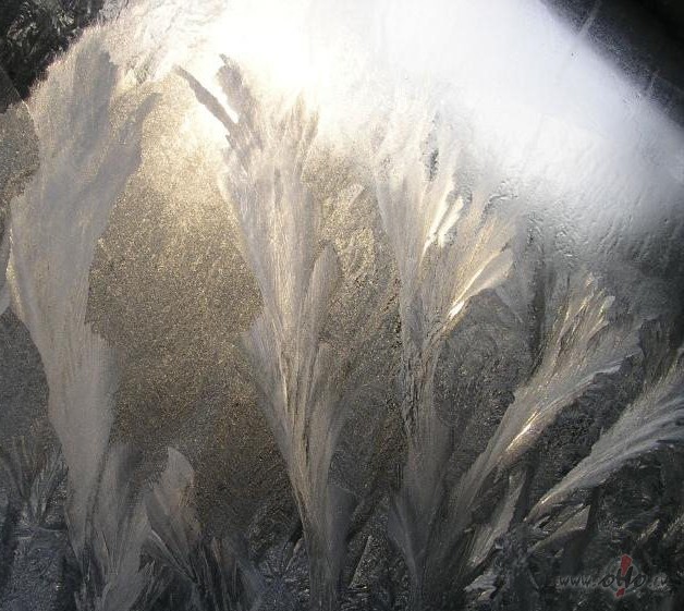 �obr�d esmu leduszieds... sasalusi auksta!!!Ledus zieds