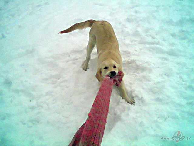 �ODIEN SALST ;-(
...kur� sasild�s?!?
;-)))