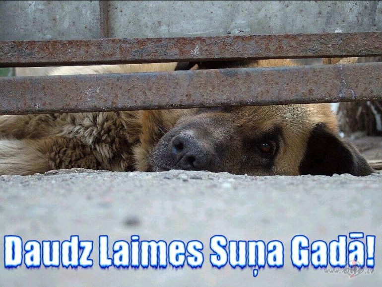 Nu re,atkal viens gadins ir beidzies,un neteiktu kad vins man bija ...