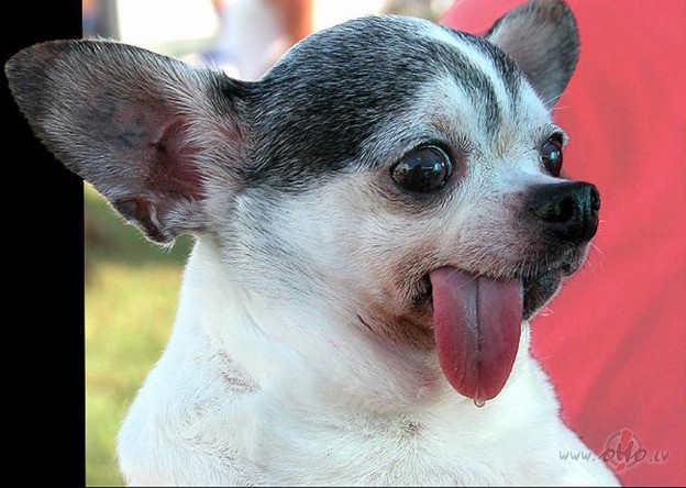 �is ir mans gads:))))