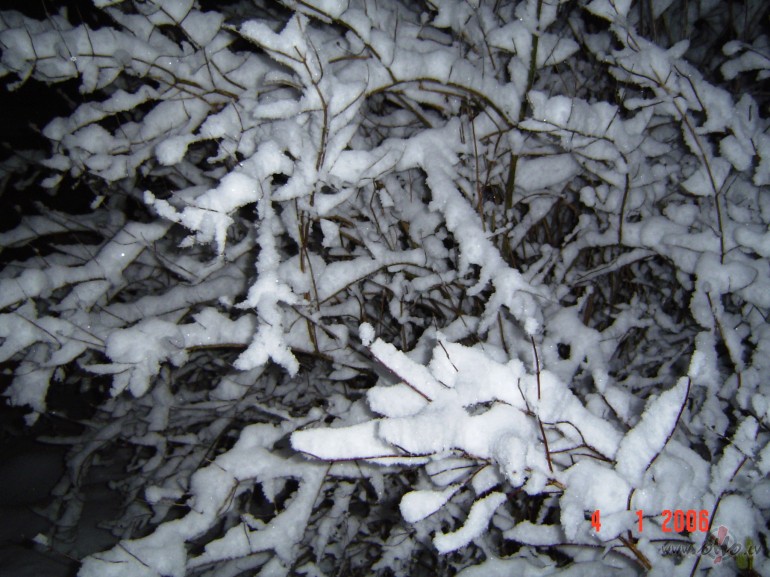 &nbsp;&nbsp;&nbsp; Neredz�g�
K� nepierakst�ta dzeja
M�ko�i pl�da ar ...