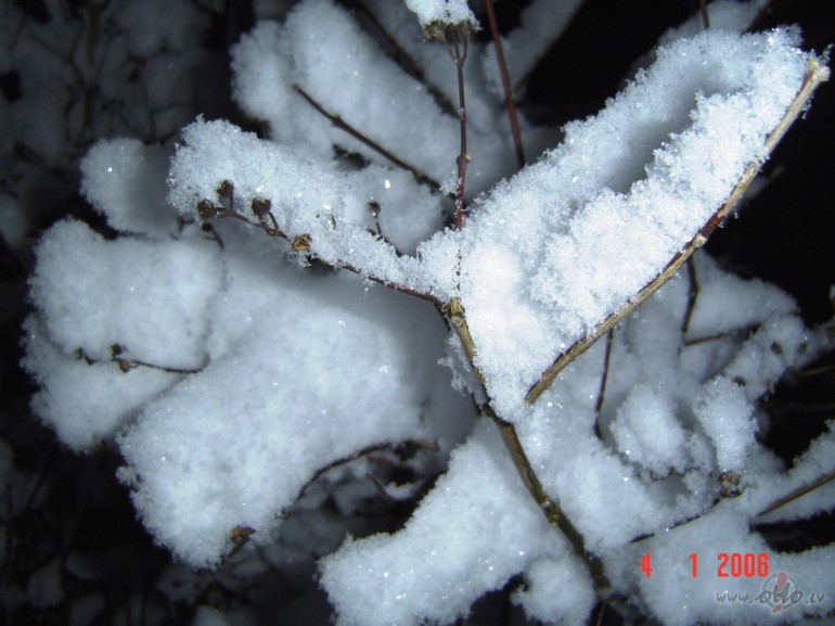 &nbsp; Pavasar�gs sapnis
Un sniega m�te p�rslu krelles raisa
Un ...