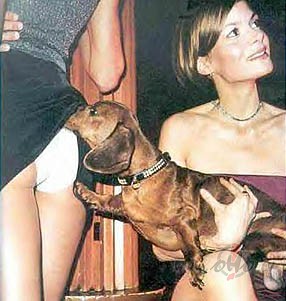 ��nie�u Jaunai gads => Su�a gads                          
