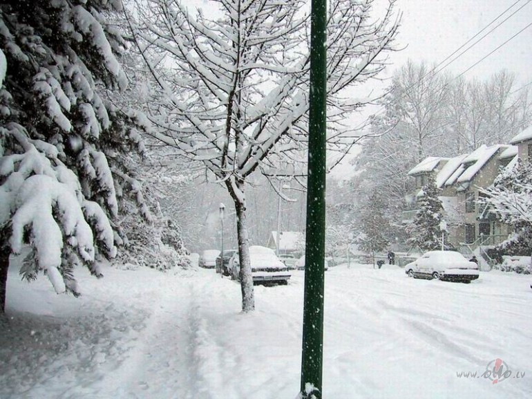 Virs� atkal n�k sals..... Nu k� es varu justies, ko???? Bet viens gan ...