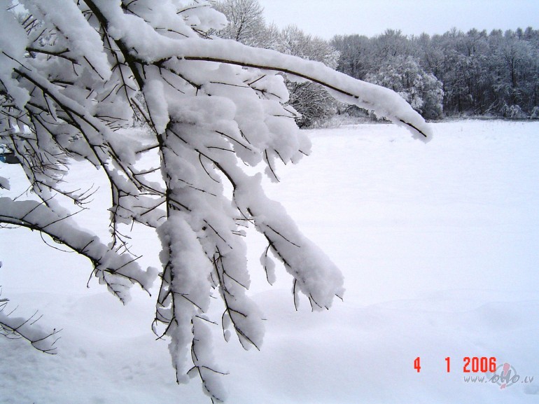 K� ZEME...
Es gribu apsnigt k� zeme
zem Debesu skaidr�bas ...