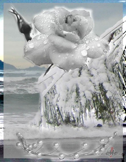 +10 C Helsinku pane�m�ju iedz�vot�ji iesl�dz
centr�lapkuri. ...