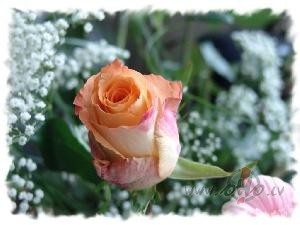 ,,Jo tam, kas �eit izn�c�gs, j�t�rpjas neizn�c�b�...`` ...