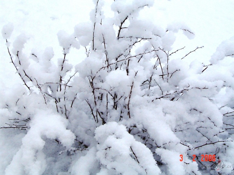 &nbsp;&nbsp;&nbsp;&nbsp;&nbsp;&nbsp;&nbsp;&nbsp;&nbsp;&nbsp;&nbsp; ...