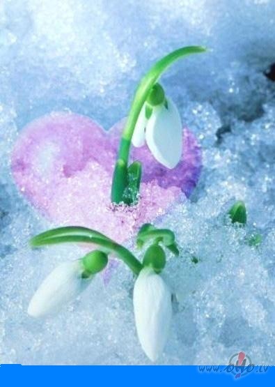 1998.gada 21. febru�r� bija atlidoju�i c�rul��i...zied�ja ...