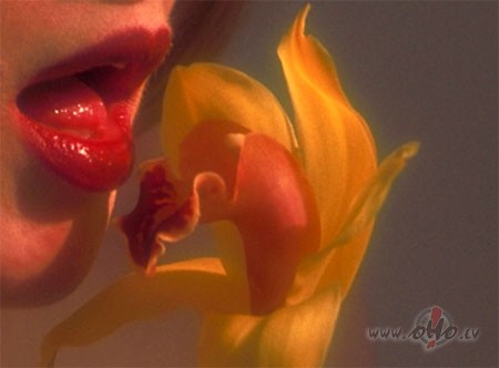 Nenopl�c ziedu -
�auj, lai tas zied.
Ar vi�a smar�u uz l�p�m
M�la ...