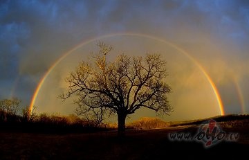 Dubult� varav�ksne... Skaista un sam�r� reta dabas par�d�ba, ...