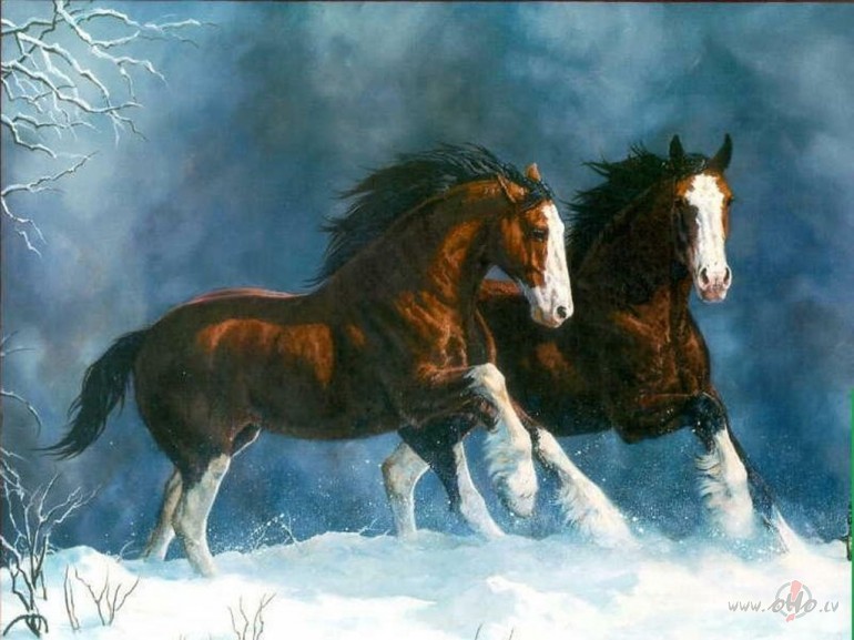 Brauciens nakt�
Visu nakti m�ness l�ja
P�r mums staru ...