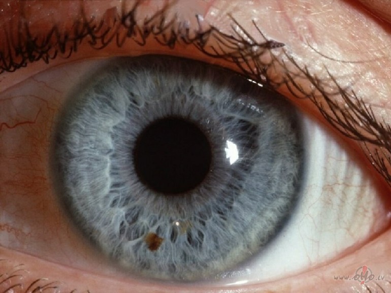 Bet, ja tu v�lies zin�t...
N�, es nerun��u ar Tevi,
v�rdi nav ...