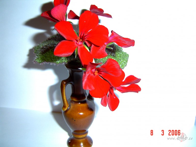 K�d�� pasaule t� iek�rtota?
T�s m�l�g�s visas esmu aizmirsis,
T�s ...