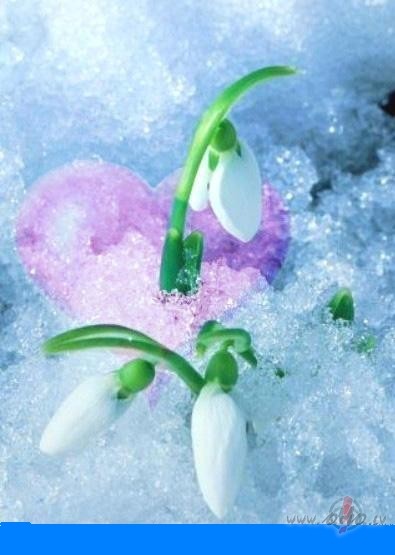 &nbsp;&nbsp;&nbsp;&nbsp; PAREDZ�JUMS
Varb�t salti v�ji katru nakti ...