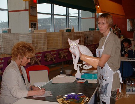 ;-(K� lai atradina ka�en�ti => dzert no manas kr�zes... sekot man ...