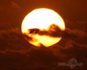 Dr�z diena beigsies, n�k vakars. Saulriets ..., iest�sies ...