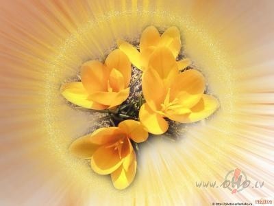 Es tav� sv�t� m�l�
K� s�kla zem� kr�tu,
Un d�gstu pretim gaismai ...