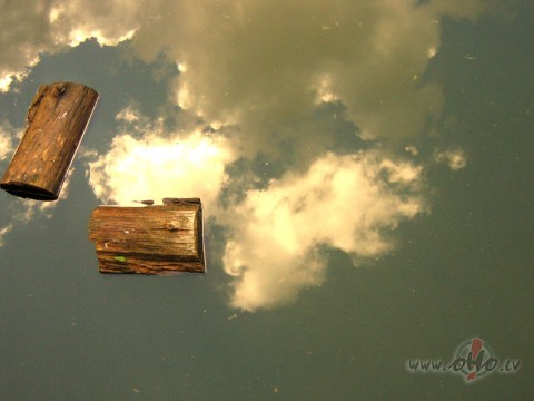 Grib�tos, lai �odien ar� ir tikpat saulaina, silta un skaista diena ...