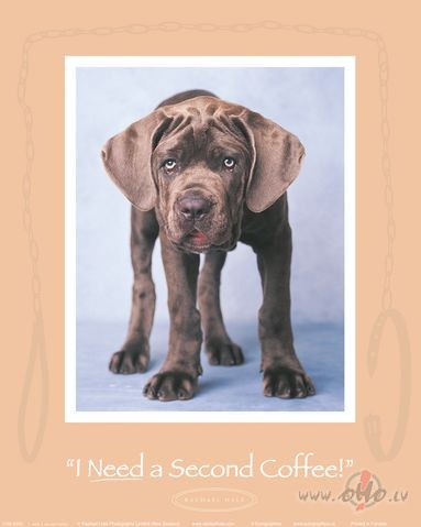 Viss iet labi, bet......gar�m...........