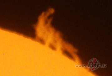 Dinozaurs klejo pa Sauli :) Skaists att�ls, fotograf�jot v�l�k ...