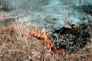 L � D Z U, &nbsp; N E D E D Z I N I E ...