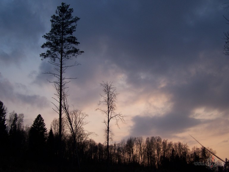 Kad ieklausies,sadzirdot balsis
negribas atgrieezties m�j�s
pa ...