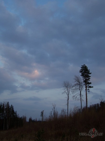 T� diena, kad tevis navs�k griezties uz citu pusiar �n�m uz gaismu ...