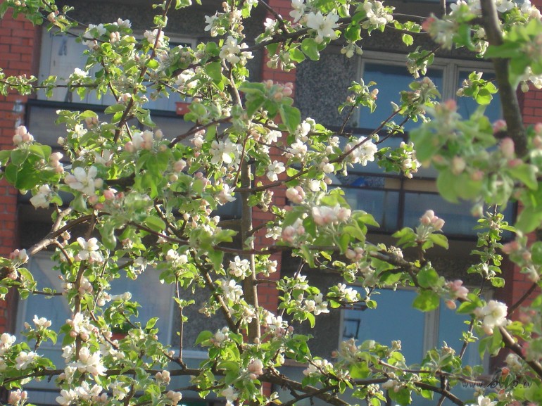 Ir Lietus nolijisun l�ses sp�ku dodit visam za�ot, d�gt!!man t�du ...