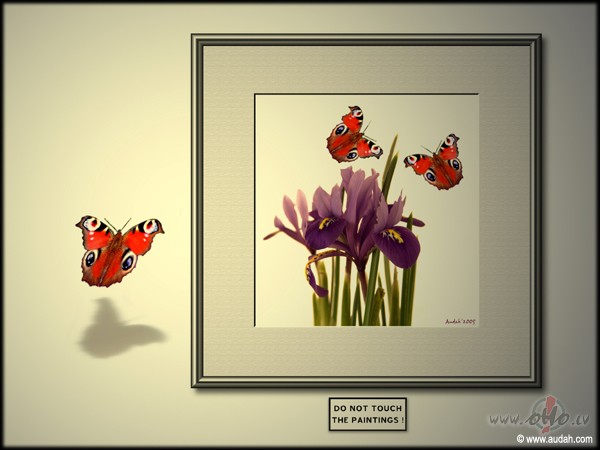 Es zinaju daudzn ko tadu, ko man nevajadzeja zinat, tapec neielaidos ...