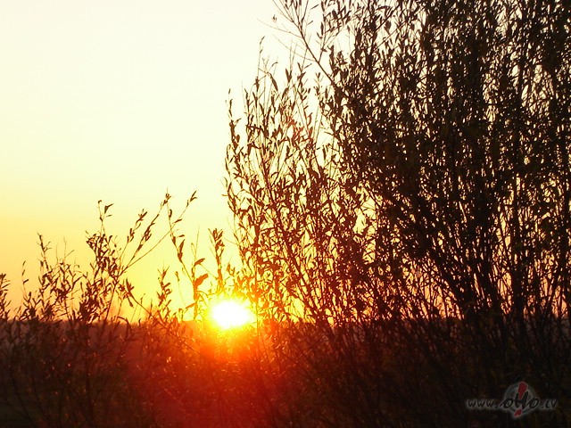 Ra�ena dieni�a- daudz sadar�ts-padar�ts, kam pal�dz�ts, kas ...