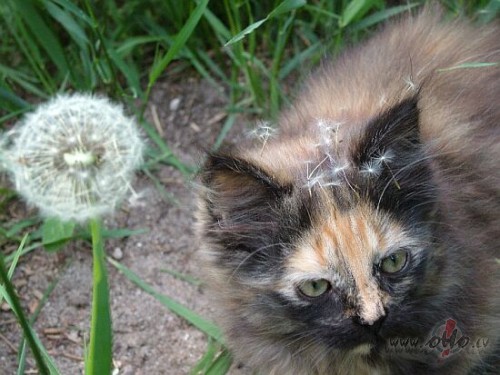 Nu beidzot es ari dzivosu normalu dzivi blakus Bismarkam Imanta :)