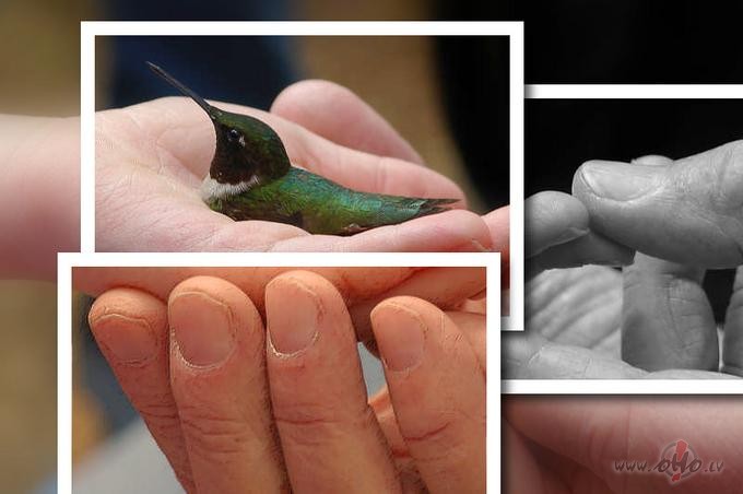 Katra laba riiciiba sekme musu attirishanos un pilnveidoshanos, ko ...