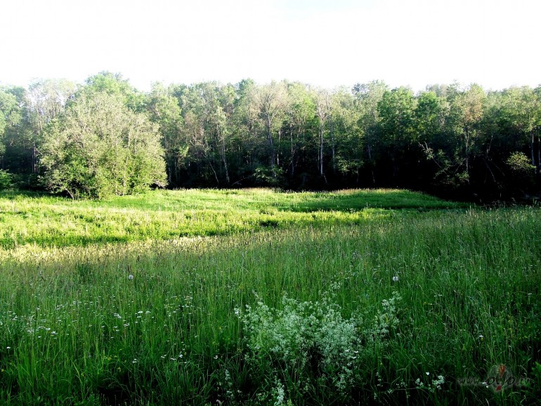 Es traucos pie tevis
Ar v�ju, kas gar�m skrien
Ar v�ju, kas nes ...