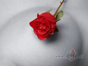 ...Citi �ovakar diskut� par iek�ri k� par gr�ku => vai tie��m par ...