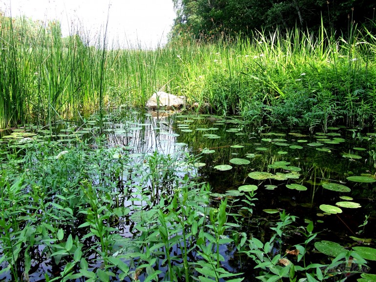 &nbsp;&nbsp; Uz laipas
Pie r�tausmas debes�m
Plaiksn�s za�gani ...