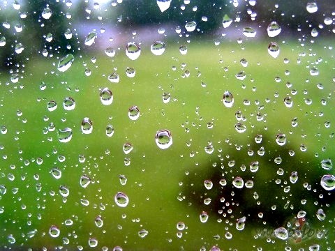 Ieklausies liet�
Ik pilien�
Vai m�ki
Tik da��di skan�t
Vai vari ...